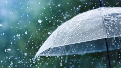 الطقس غدا السبت.. زخات مطرية مرتقبة في عدد من المناطق