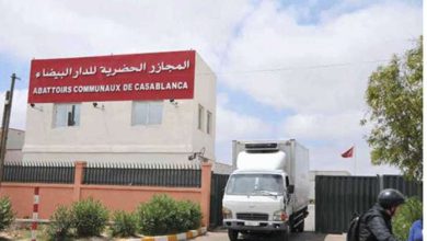 المجازر الحضرية
