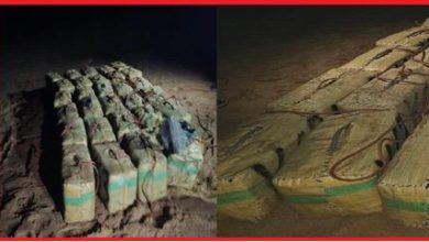 آسفي.. إحباط محاولة تهريب طُنين من الشيرا عبر سواحل الأطلسي