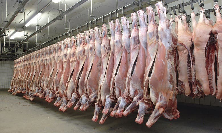 الإعلان عن يوم الأربعاء 4 يونيو كآخر يوم لاستقبال المواشي بمجازر البيضاء