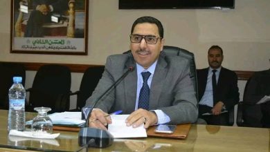 الملك يعين محمد باري عاملا جديدا على إقليم طاطا