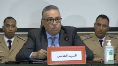 الملك يعين نور الدين أوعبو عاملاً على إقليم فجيج