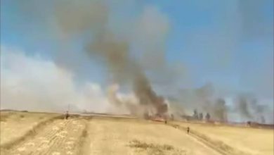 اندلاع حريق في حقل زراعي بجماعة عين السبيت بالخميسات (فيديو)
