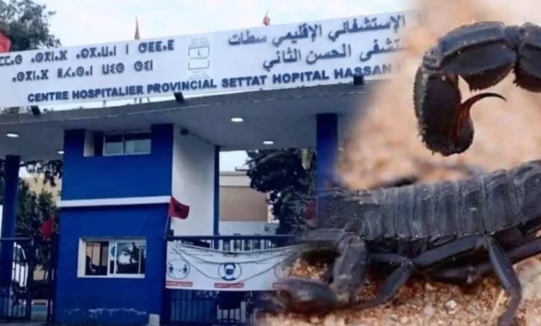 سطات.. عقرب سامة تُرسل أستاذة إلى المستعجلات