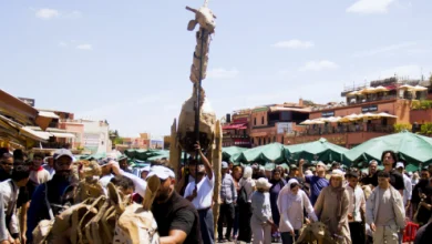 مراكش تحتضن قافلة “القطعان” الفنية للتوعية بالتغيرات المناخية