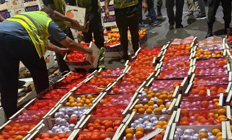 إحباط محاولة تهريب أزيد من 4 أطنان من الشيرا بميناء طنجة المتوسط